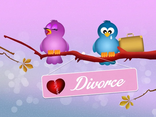 Birds divorced — Stock Photo, Image