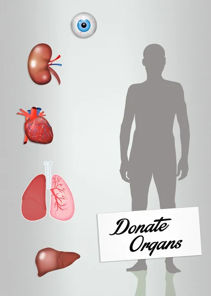 Донорство органов — стоковое фото