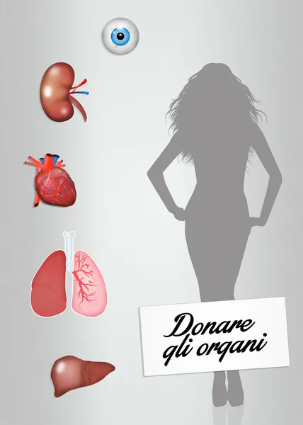 Organ donation — Stock Photo, Image