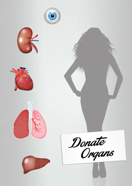 Organ Bağışı — Stok fotoğraf