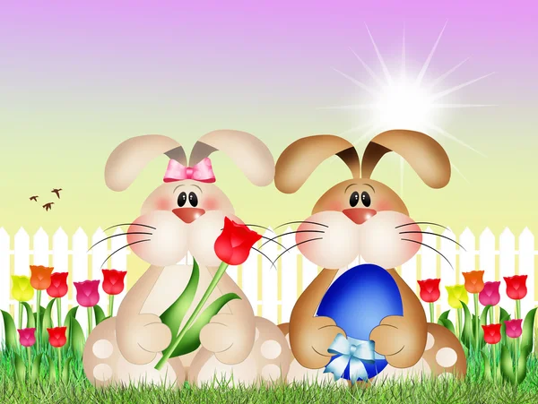 Easter bunnies — Stock Photo, Image