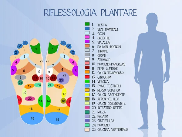 Reflexologia Imagens De Bancos De Imagens