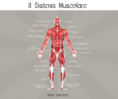 kas sistemi