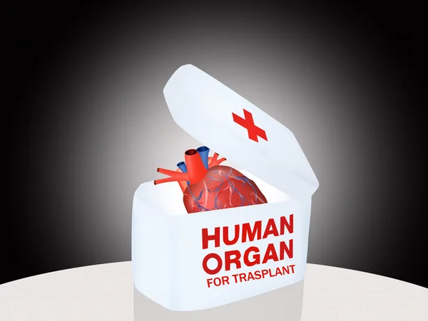 Lidského orgánu pro trasplant — Stock fotografie