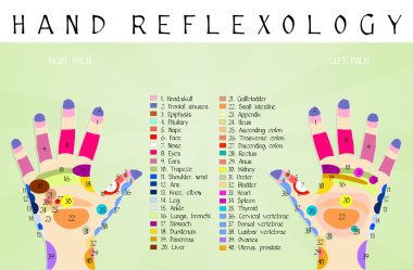 Refleksoloji el grafiği