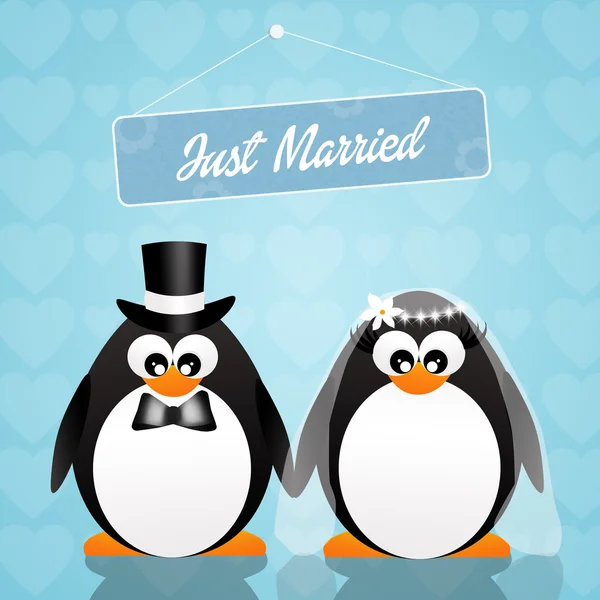 Bröllop av pingviner — Stockfoto