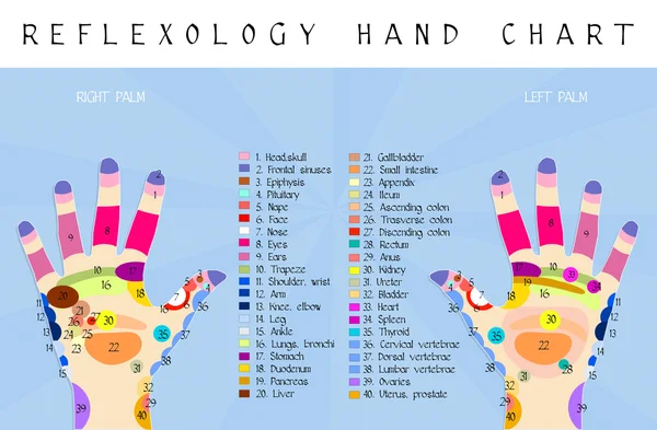 Reflexology hand chart — Stock Photo, Image