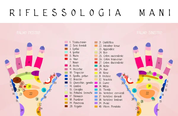 Reflexológia kézzel diagram — Stock Fotó