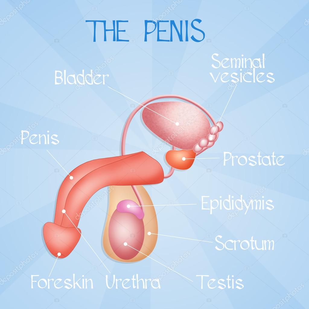 Russexvideo.com Том Фелтон порно фильмде