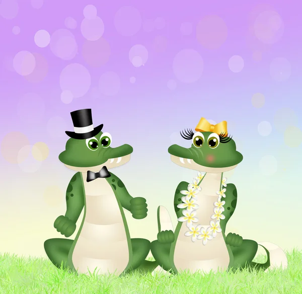 Crocodilos casal — Fotografia de Stock