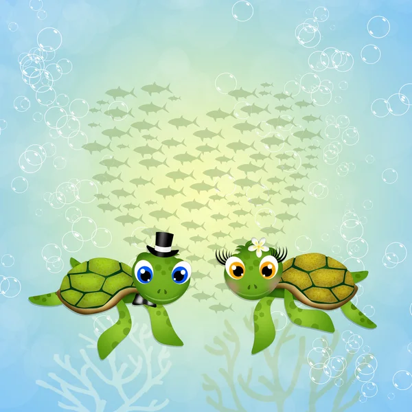 Funny sea turtles in love — Stock Photo, Image