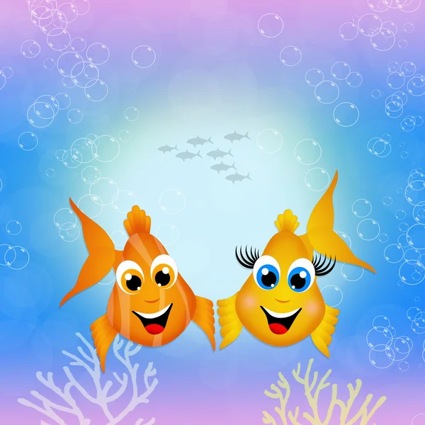 Funny fishes — Stock Photo, Image