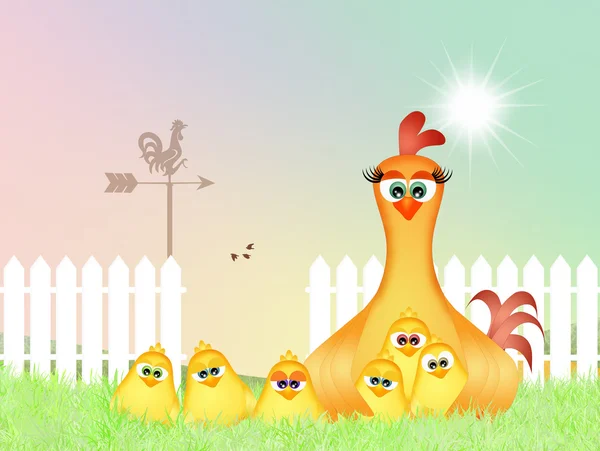Lustige Henne im Nest — Stockfoto