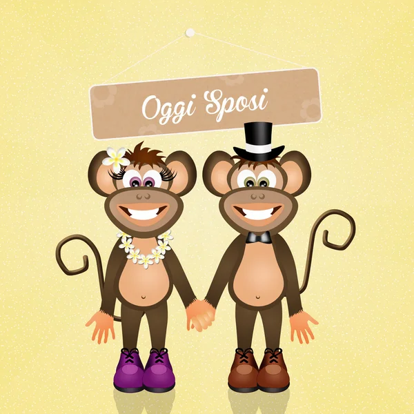 Hochzeit der Affen — Stockfoto