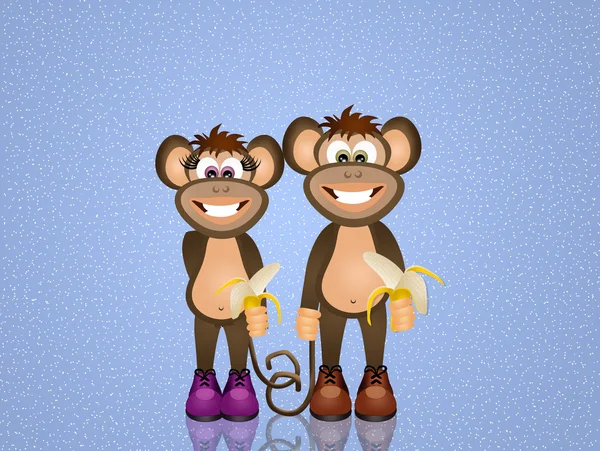 Monkeys with banana — Stock Photo, Image