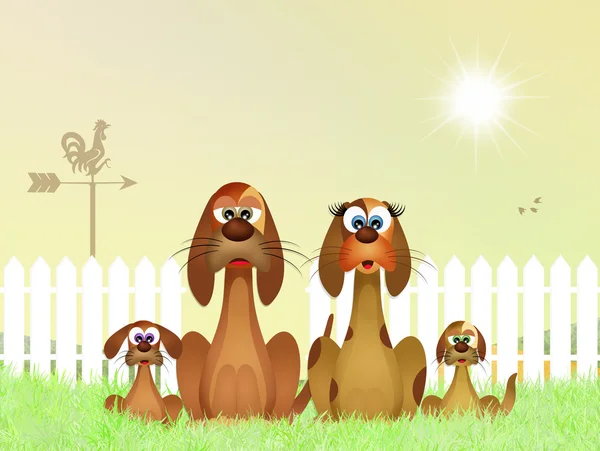 Family of dogs in the farm — Stock Photo, Image