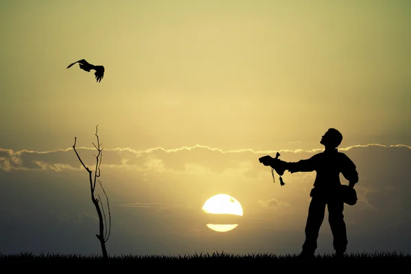 Falconry at sunset — Stock Photo, Image