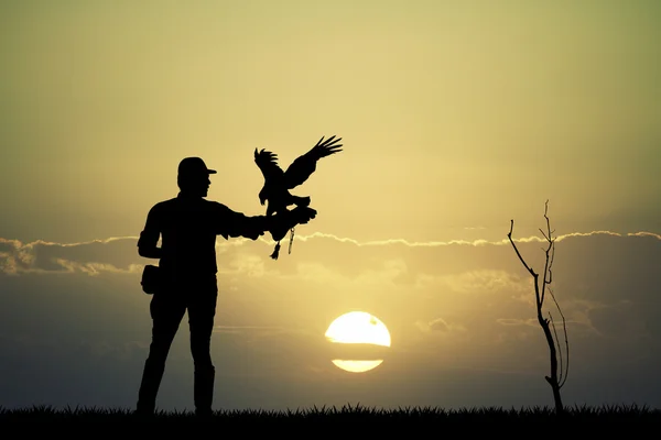 Falconer człowiek o zachodzie słońca — Zdjęcie stockowe
