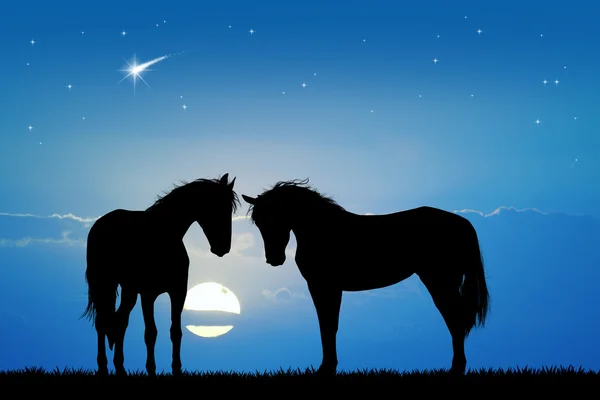 Silhueta de cavalos no amor — Fotografia de Stock