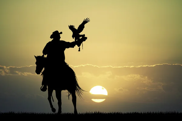 Man on horse with hawk — Stock Photo, Image