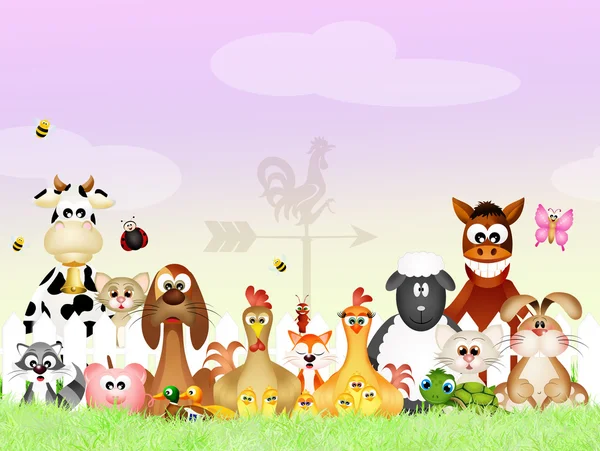 Farm animals — Stock Photo, Image