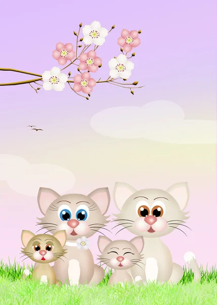 Cats family in spring — Stock Photo, Image