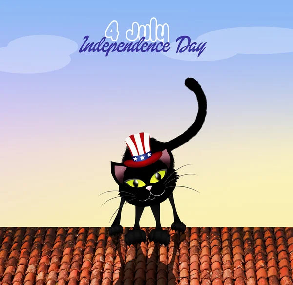 Kat op Independence Day — Stockfoto