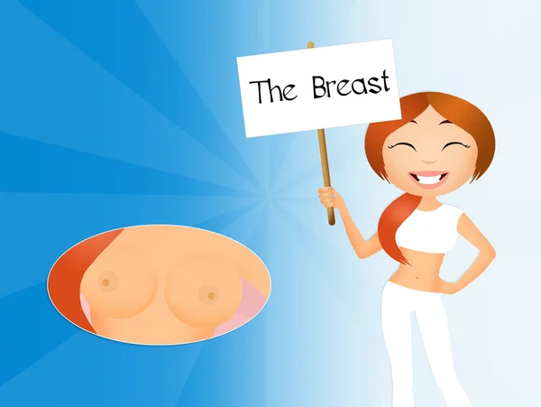 The breast — Stock Photo, Image