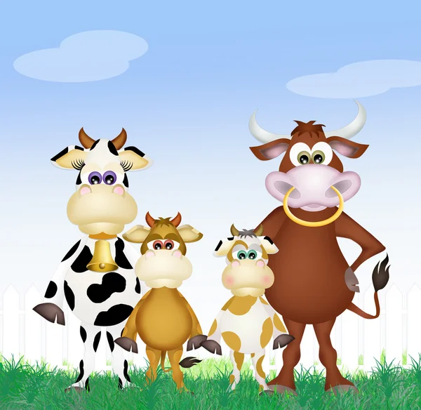 Famiglia di vacche — Foto Stock