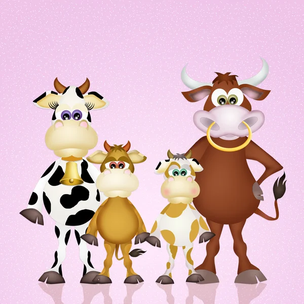 Familia de vacas — Foto de Stock
