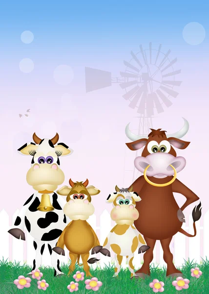 Rodinné krávy — Stock fotografie