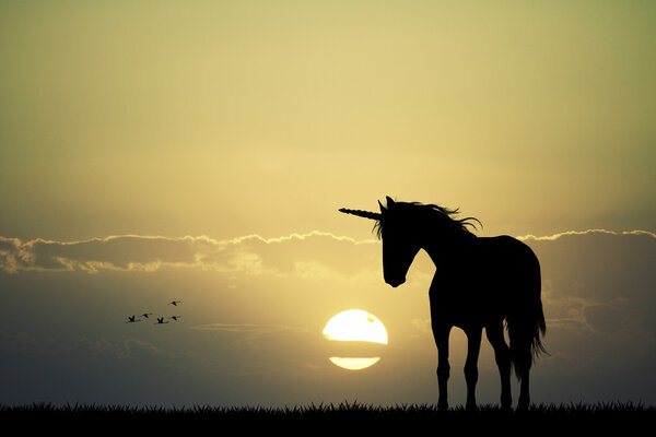 Einhorn bei Sonnenuntergang — Stockfoto
