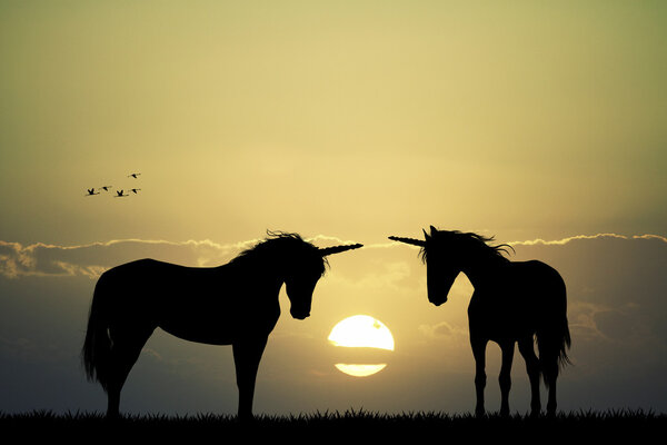 Einhörner bei Sonnenuntergang — Stockfoto