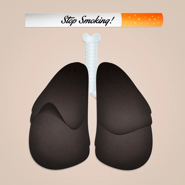 Rökarens lungor — Stockfoto