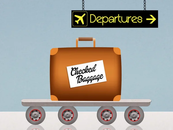 Bagages enregistrés — Photo