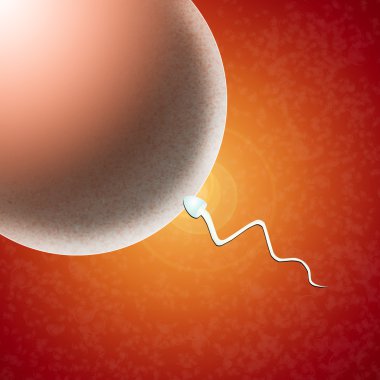 Sperm