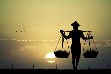 gün batımında Asyalı çiftçi