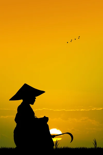 Agricoltore asiatico al tramonto — Foto Stock