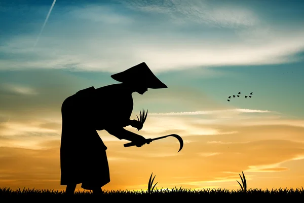 Agricultor asiático al atardecer —  Fotos de Stock