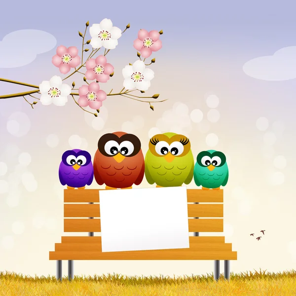 Owl in spring — Stock Photo, Image