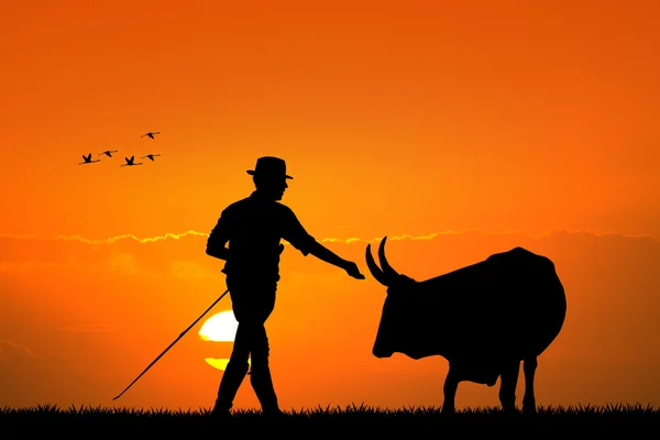 Agricultor al atardecer — Foto de Stock