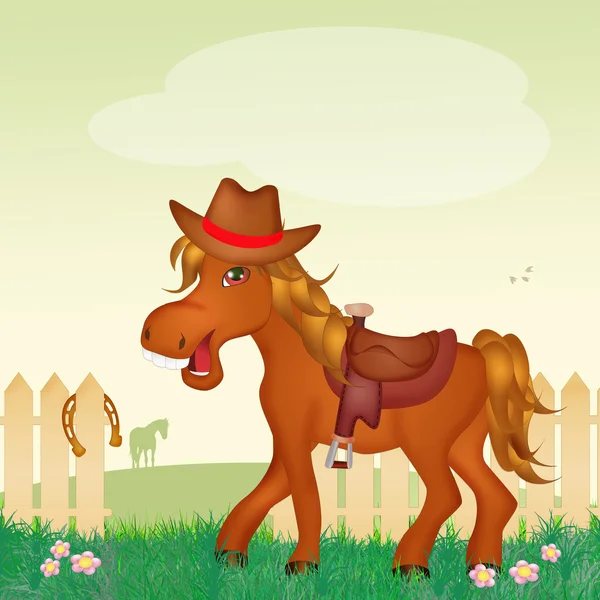Häst på rodeo — Stockfoto