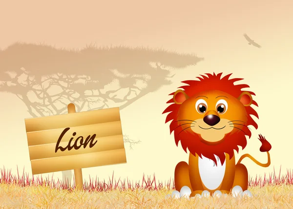 Lion — Photo