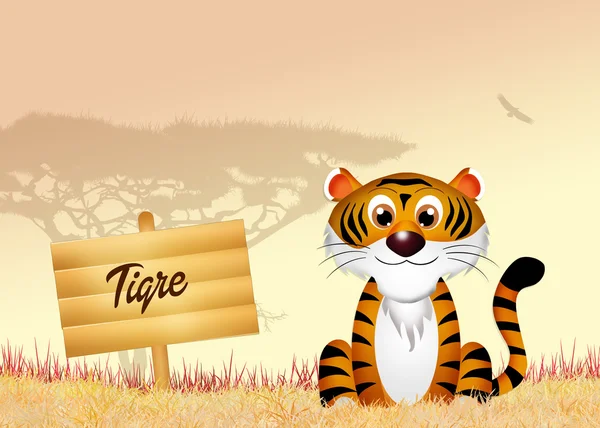 Tigre — Foto Stock