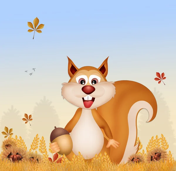 Squirrel in autumn — Stock Photo, Image