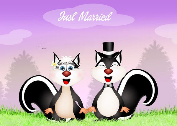 Wedding of skunks — Stock Photo, Image