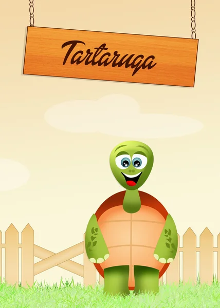 Tartaruga — Foto Stock