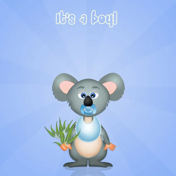 Baby koala — Stock Photo, Image