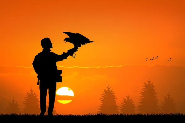 Falconer bij zonsondergang — Stockfoto