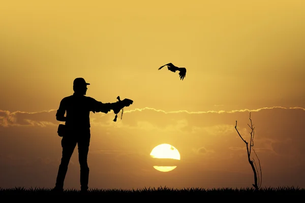 Falconer bij zonsondergang — Stockfoto